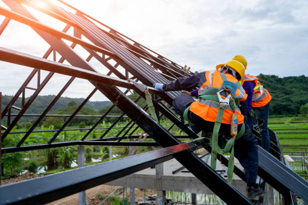 Best Residential Roofing Contractor  in Sabetha, KS