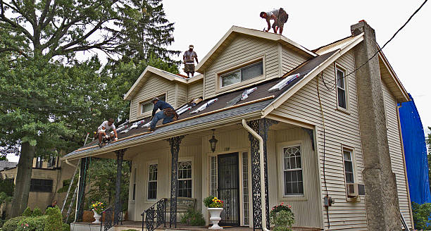 Best Storm Damage Roof Repair  in Sabetha, KS